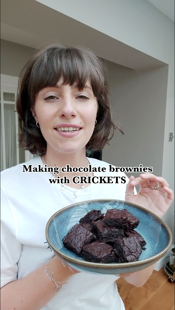 I’m releasing weekly insect-based recipe videos!